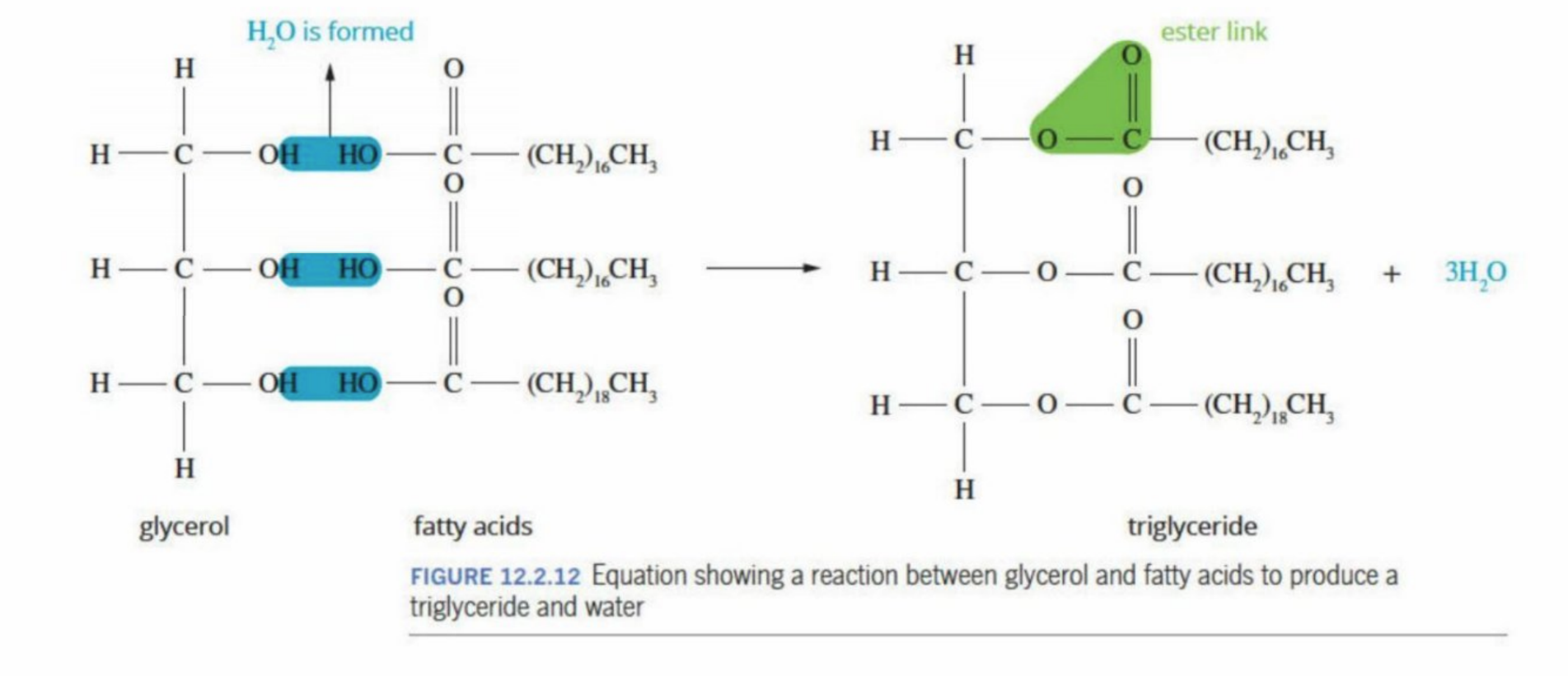<p>No kinks</p><p>Have close packing and are more crystalline - higher boiling point</p><p></p>