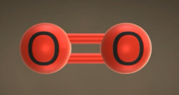 <p>What molecule is this? Polar or nonpolar?</p>