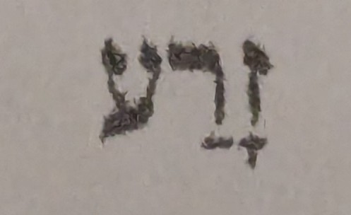 term image