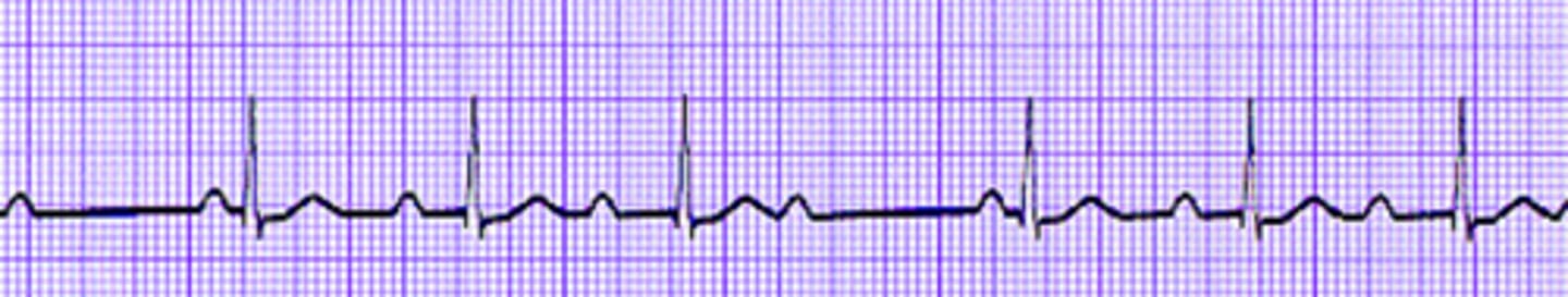 <p>What are the findings</p>