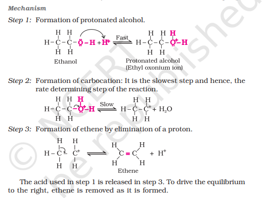 <p><em>use note</em></p><p>Step 1: Protonation</p><p>Step 2: Elimination of water</p><p>Step 3: Deprotonation</p>