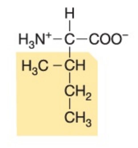 <p>Non-polar, hydrophobic</p>