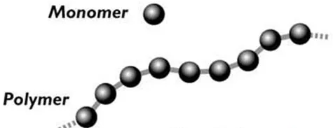 <p>Monomers: a molecule not bonded with other molecules</p><p>Polymers: several monomers bonded together</p>