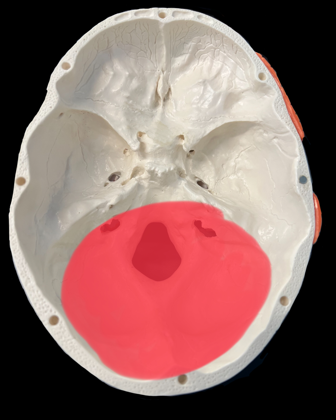 What is highlighted in red?