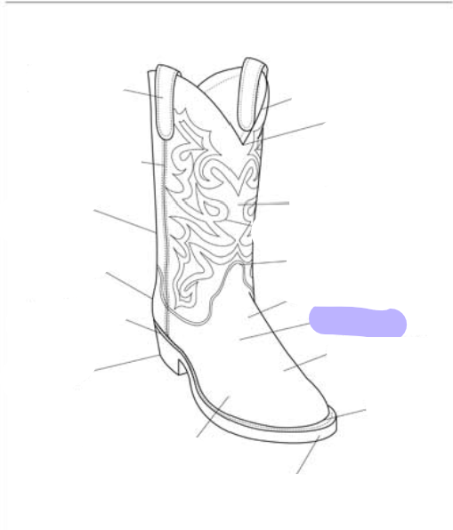<p>What part of the boot is this? (labeled in purple)</p>