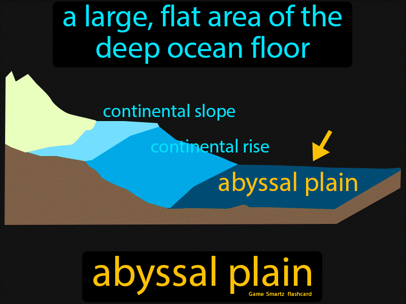 <p>The generally flat region of the ocean floor at a depth of 3000-6000m,  usually at the <strong>base of a continental rise.</strong></p><p></p>