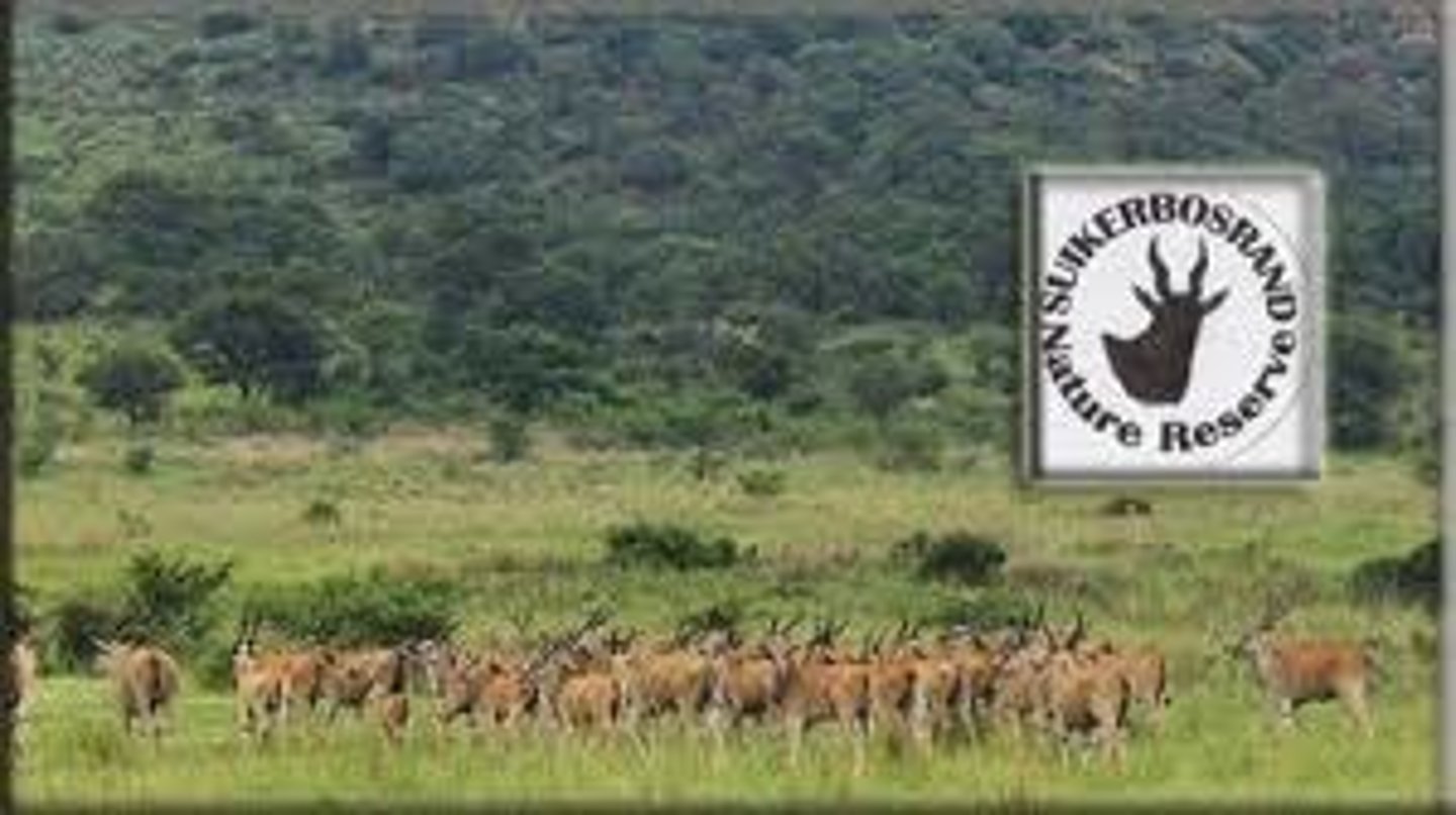 <p>Allows species to be conserved in their natural habitat</p>