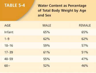 TBW= patient weight in kg x % (based on gender and age)
usually 40-60% of patients weight
-Example =70kg*.55 for a 55 y/o male= 38.5L
