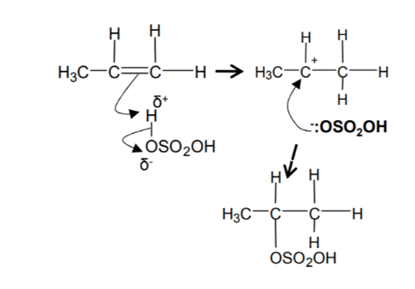 <p>[Electrophilic addition]</p><p>H₂O, H₂SO₄ catalyst</p>