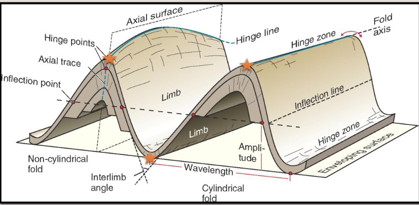 <ul><li><p>Form where initially planar features become curved/bent</p></li><li><p>Consists of hinge flanked by two limbs</p></li><li><p>Hinge point = point of maximum curvature</p></li><li><p>Hinge zone = volume of high curvature material around hinge point </p></li><li><p>Hinges extrapolated along hinge lines</p></li></ul><p></p>