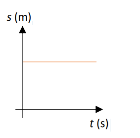<p>describe the displacement and movement of the object in the graph</p>