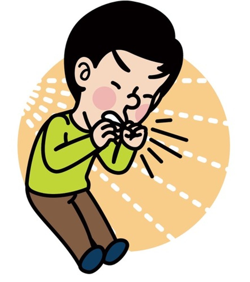 <p>cough / sneeze</p>