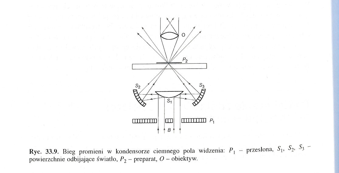<p>wiązki światła, które zostały ugięte przez drobiny w preparacie</p>