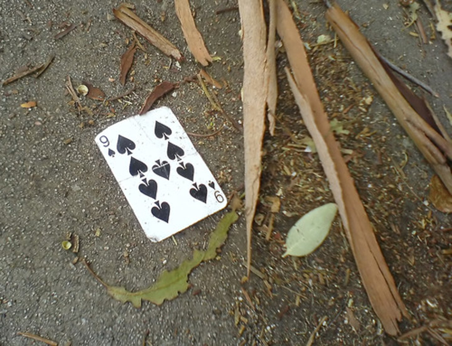 <p>nine</p>