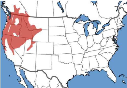 <p>Who’s range map?</p>