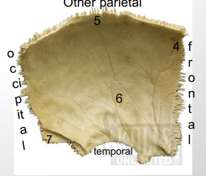 <p>What is 6</p>