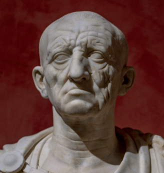 <p>Head of a Roman Patrician </p>