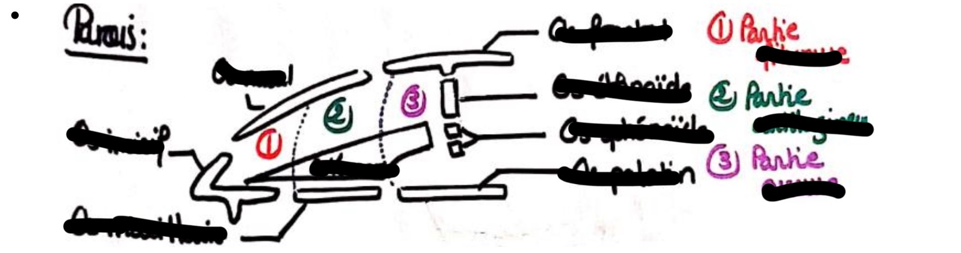 term image