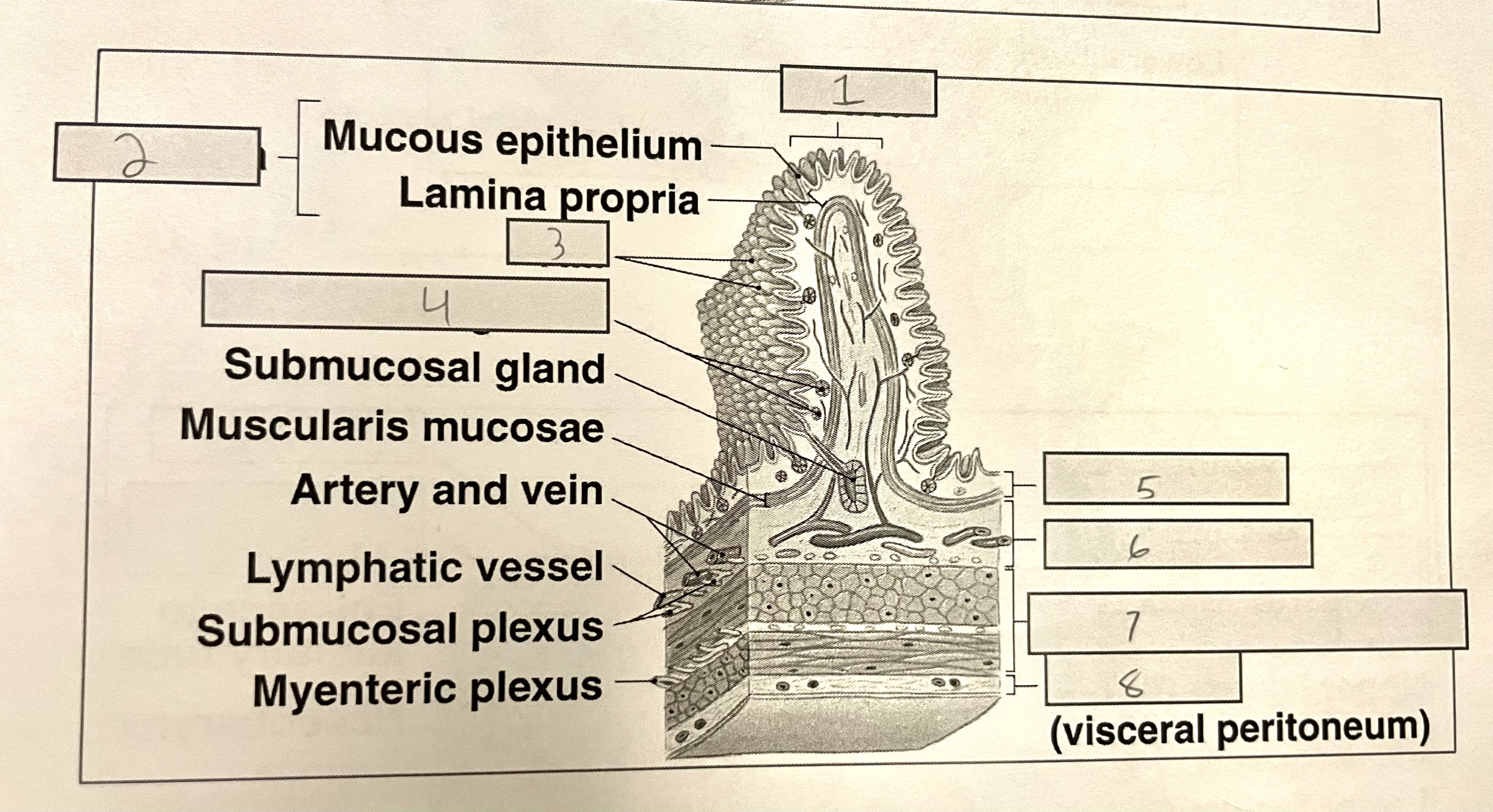 <p>What is number 8</p>
