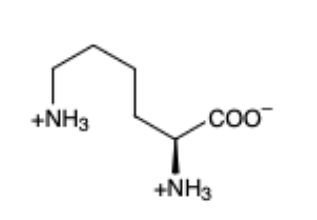 <p><span><span>(Lys, K)</span></span></p>