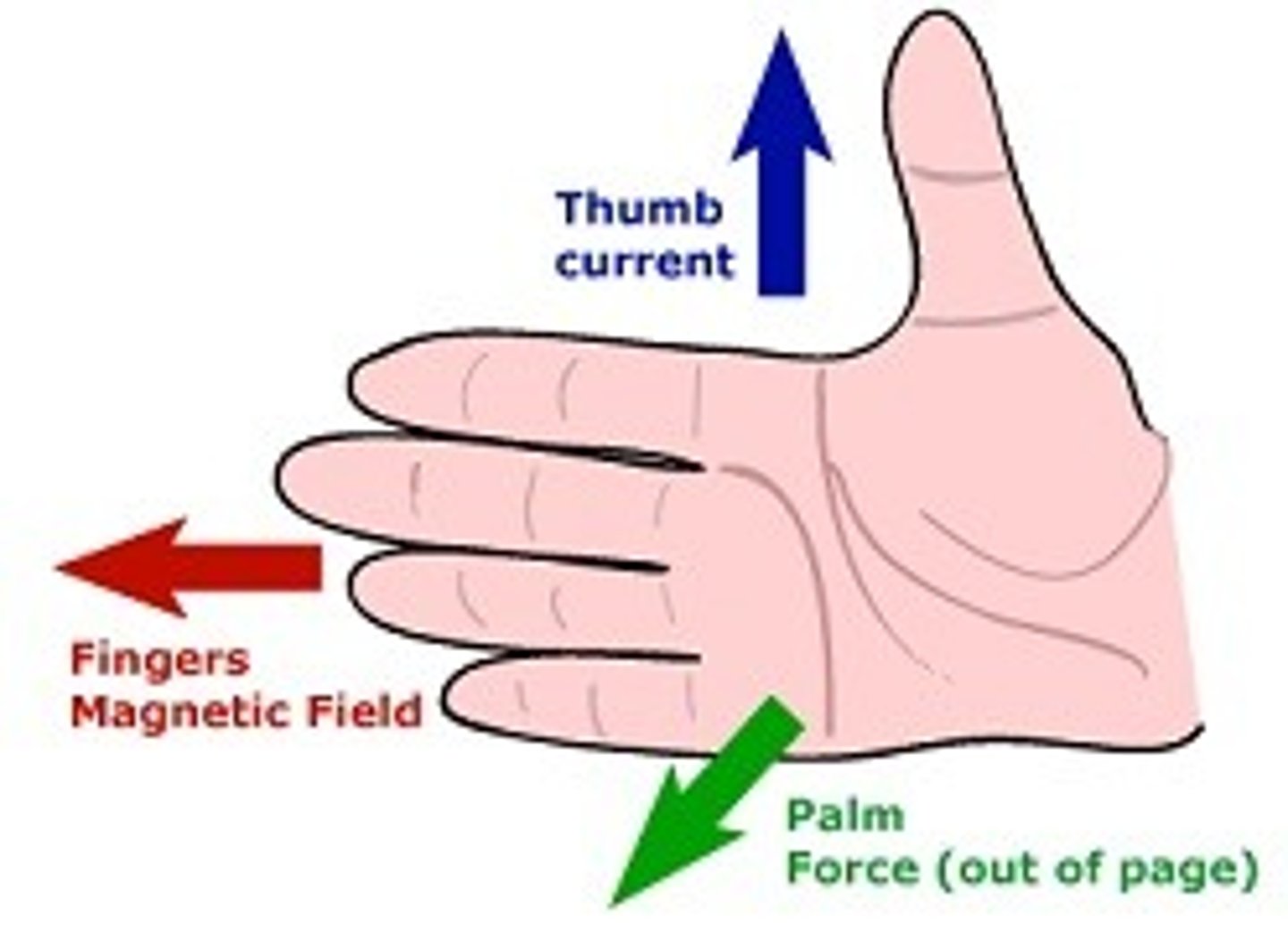 <p>Fingers: Wrap in the direction of magnetic field</p><p>Thumb: Point is the direction of current S to N</p><p>Palm: direction of Force</p>