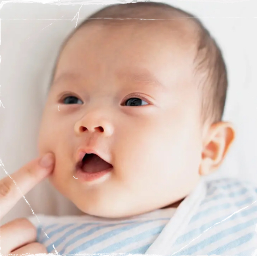 <p><strong>Neonatal Infant Reflex: </strong>Rooting Reflex (Integration: ~3 mo)</p>