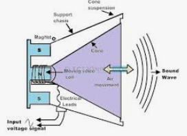 <p>de spoel met elektrisch signalen omwisselt polen en door de permanent magneten kunnen het afstoten. De afstoting wordt een beweging. Deze beweging laat lucht die door de conus gaat. Met de conus worden trillingen gemaakt die zo kunnen we horen</p>