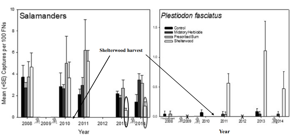 Salamander captures decreased in shelterwood harvests. Five-lined skink captures increased in shelterwood harvest.