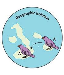 <p>Geographic isolation is caused by…</p>