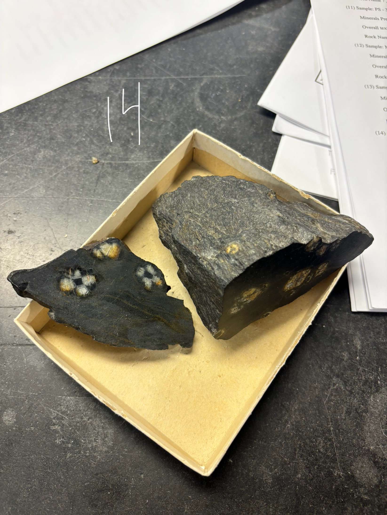 <p>Minerals Present ?</p><p>Overall texture ?</p><p>Rock Name ?</p>