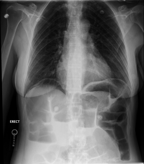 <p>what is this an image of?</p>