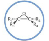 <p>Which functional group is shown? (R = rest of molecule, X = any halogen)</p>