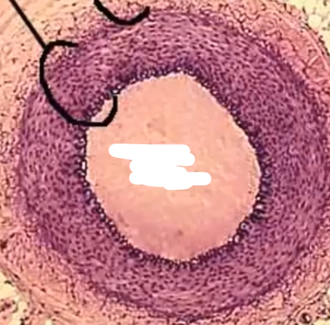 <p>What is this</p>