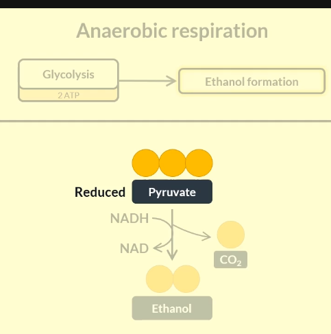 <p>oxidised </p><p>reduced</p>
