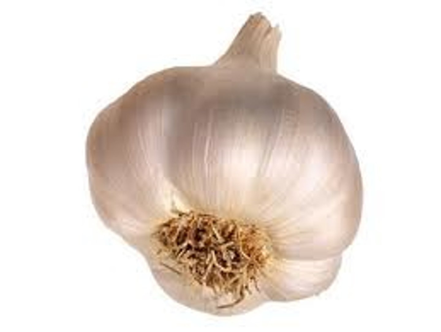 <p>garlic</p>