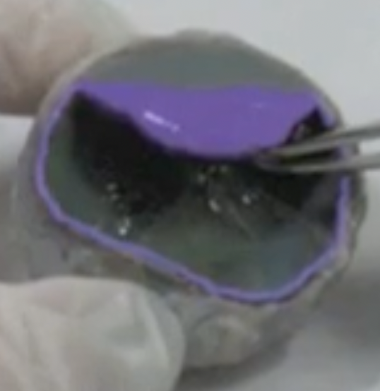 <p>vascular layer, in contact w/ the retina and sclera</p>