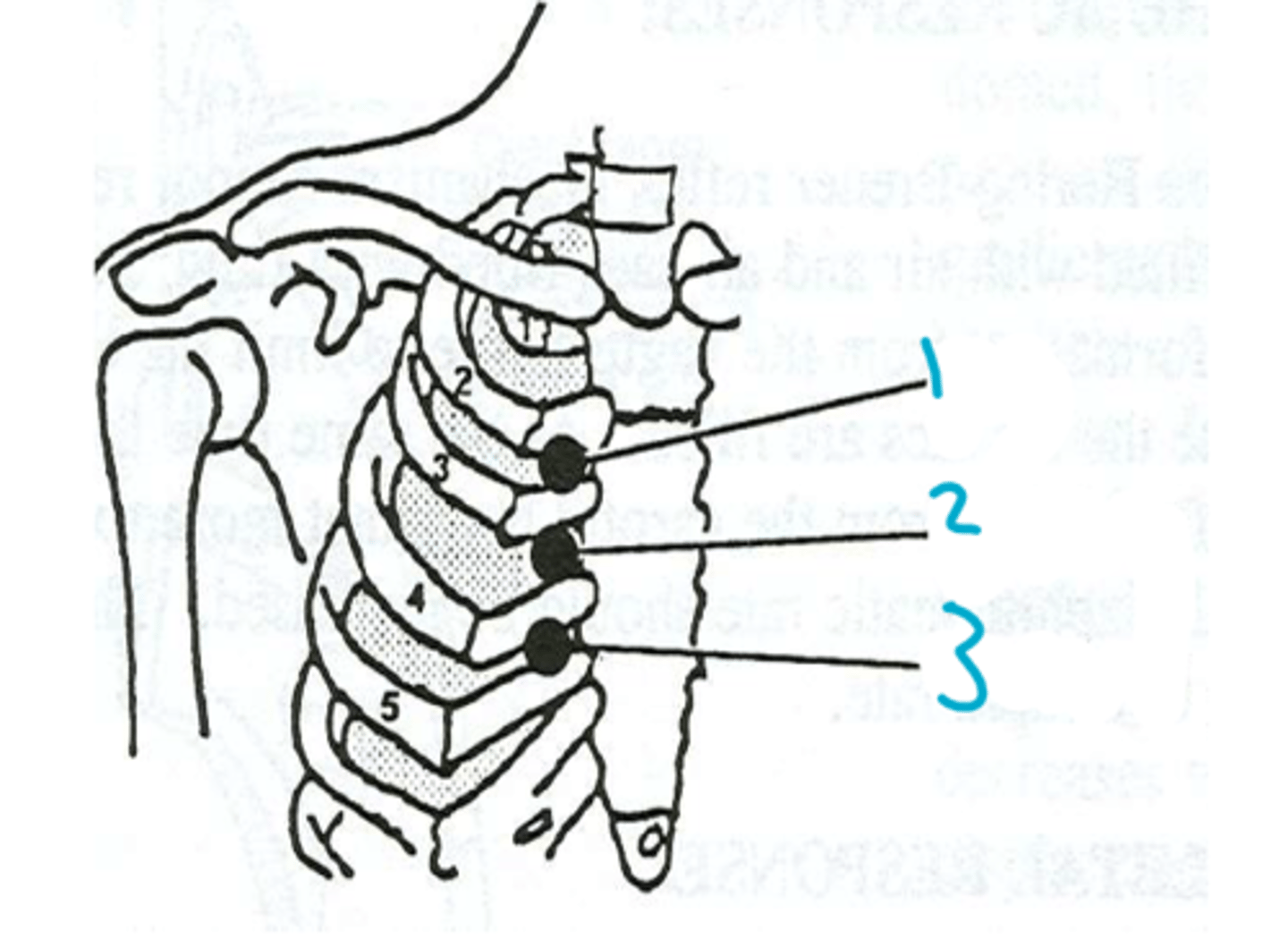 <p>1</p>