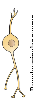 <p>?</p>