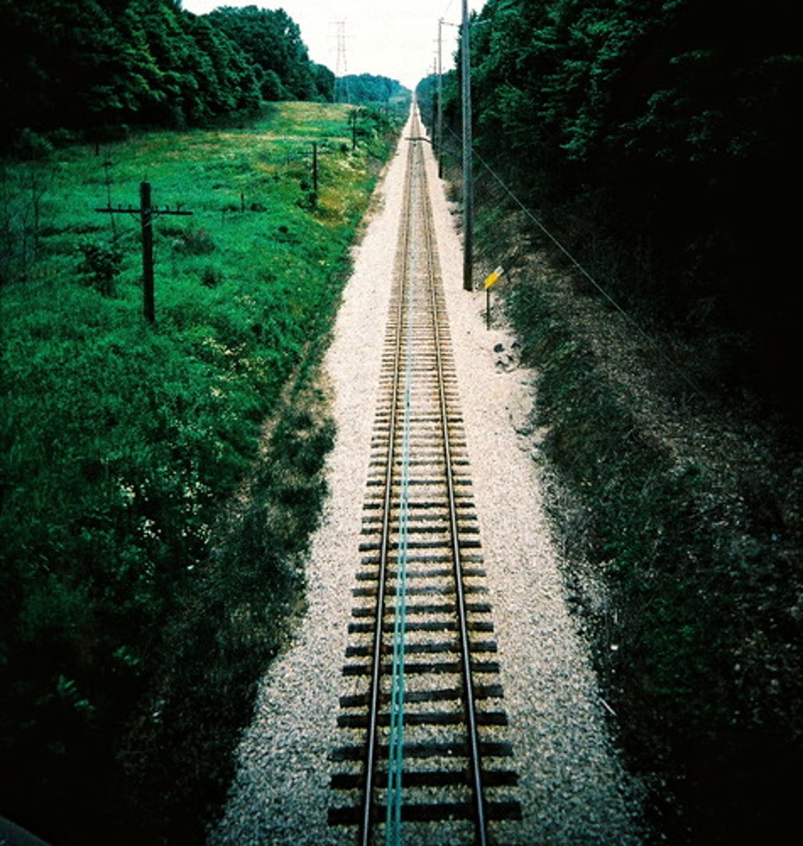 <p>Un des plus grands krachs de lhistoire provoqué par la rail mania</p>