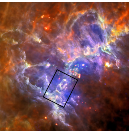 term image