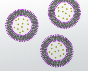 <p>destroys/absorbs toxic substances</p>