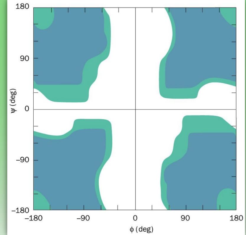 <ul><li><p>more shaded areas than normal = many more fav conformations</p></li><li><p>only have H side chain = no chiral center = less steric hindrance</p></li><li><p>= more flexibility to amide and can adopt phi/psi configs that other amino acids cannot&nbsp;</p></li><li><p>= high mobility &amp; highly disordered 2nd struc</p></li></ul><p></p>