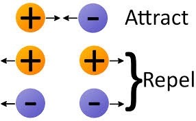 Attract each other