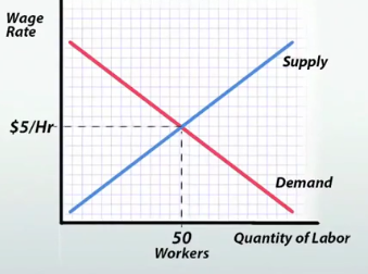 <p>the wage level (dollar amount) that is paid to a worker for their service</p>