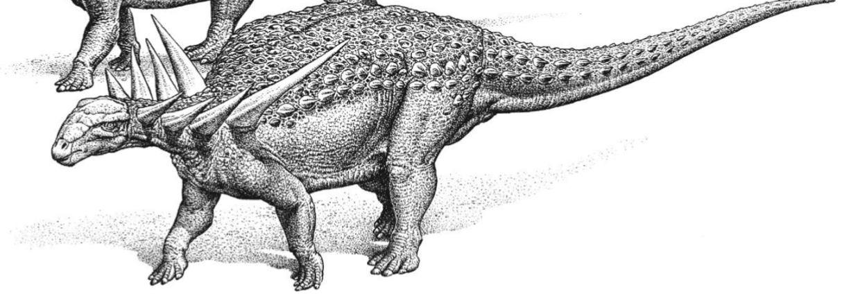 <p><span style="color: rgb(255, 253, 253);"><span>many had huge parascapular spines; a type of Ankylosaurian</span></span></p>