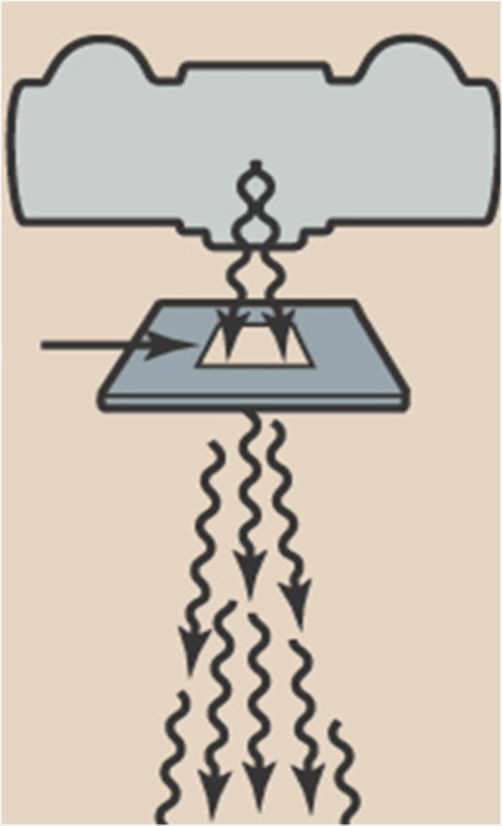 <p>sheet of lead below window with a hole for primary beam to pass</p>