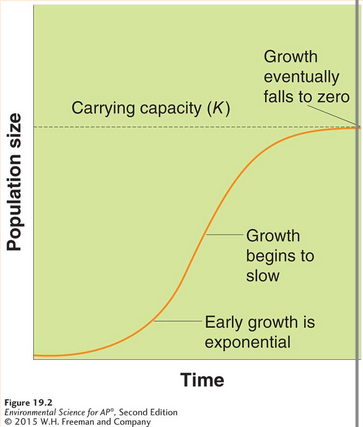 <p>A growth model that describes a population whose growth is initially exponential, but slows as the population approaches the carrying capacity of the environment.</p><ul><li><p>More realistic because it incorporates environmental limits.</p></li></ul><ul><li><p>S-shaped curve</p></li></ul><p></p>