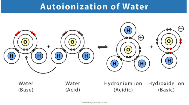 <p>The self-ionization of water forming hydronium ion and hydroxide ion.</p>