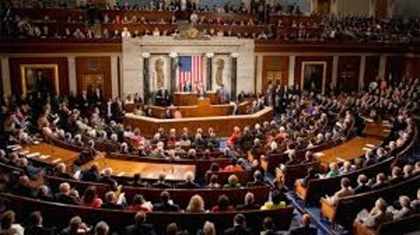 <p>A system of government in which citizens elect representatives to make decisions and laws for all people.</p>