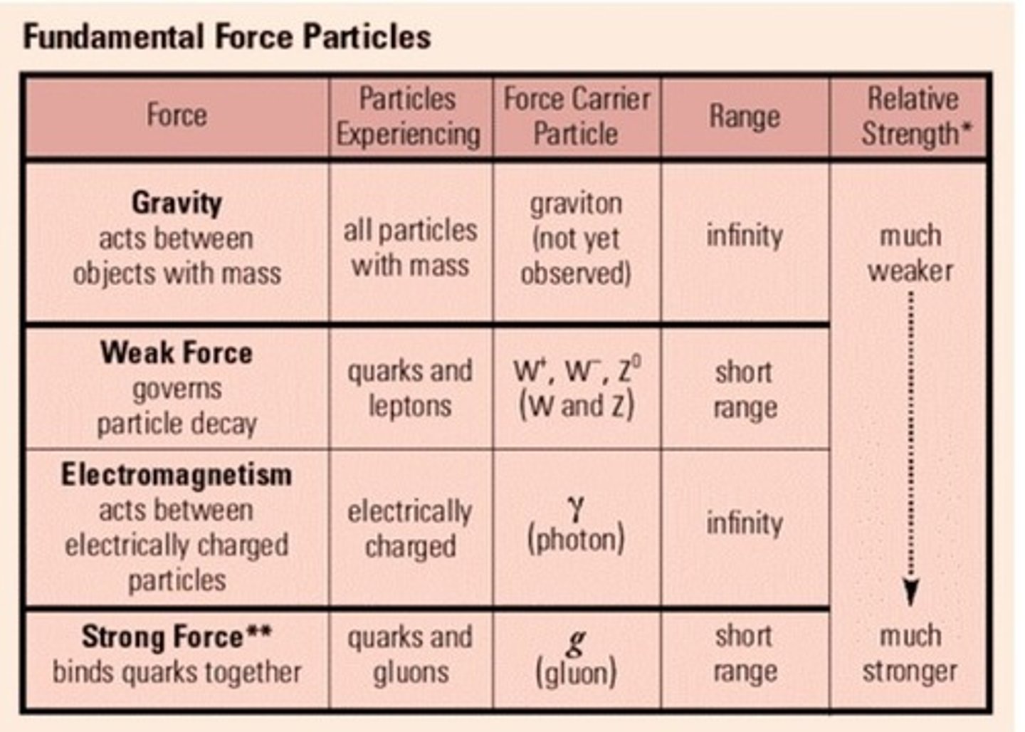 <p>Gravity: gravitons</p><p>Electromagnetism: photons (γ)</p><p>Strong nuclear: gluon</p><p>Weak nuclear: W and Z</p>